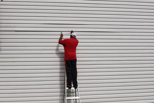 Affordable Siding Repair and Maintenance Services in Berthoud, CO